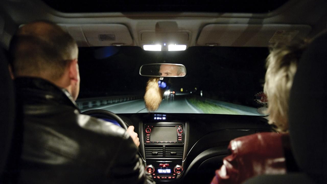 Autostück. Belgrader Hund. Foto: Schauspiel Stuttgart